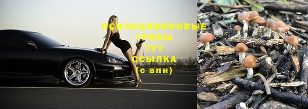 молекула духа Аркадак