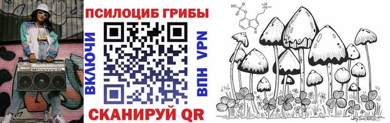 маркетплейс телеграм  Правдинск  Галлюциногенные грибы Psilocybine cubensis 
